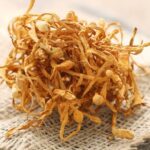 cordyceps militaris india